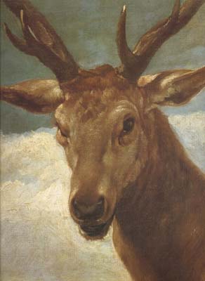 Diego Velazquez Head of a Stag (df01)